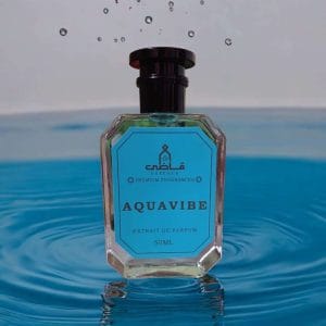 Aquavibe - Impression of Acqua Di Gio Profumo