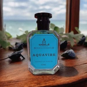 Aquavibe - Impression of Acqua Di Gio Profumo