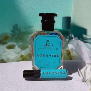 Aquavibe - Impression of Acqua Di Gio Profumo