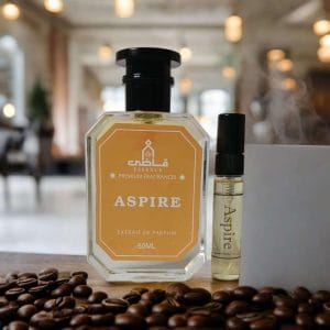Aspire - Impression of Azzaro Wanted