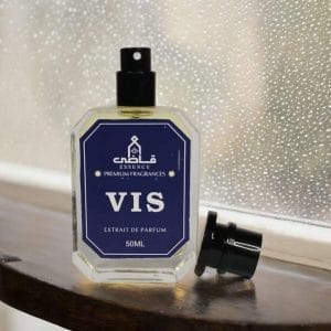 Vis – Impression of Ganymede by Marc-Antoine Barrois Vis – Impression of Ganymede by Marc-Antoine Barrois